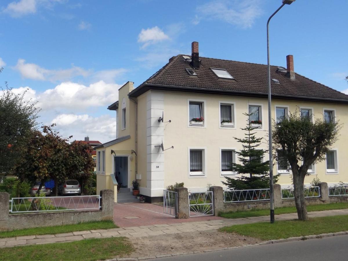 Welcoming Apartment With Garden, Terrace, Barbecue Bad Doberan Eksteriør billede
